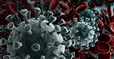 Psoriasis and the Pandemic